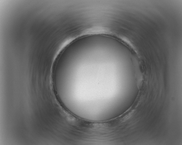 X0000062861469200601271517