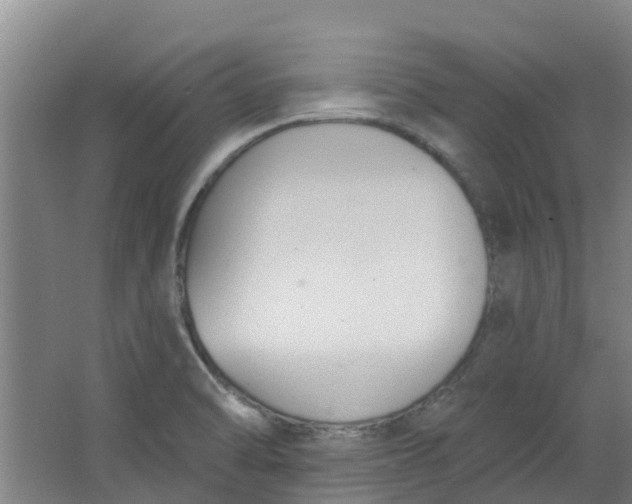 X0000062861470200601271517