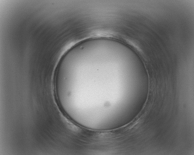 X0000062861471200601271517