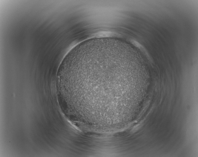 X0000062861473200601271517