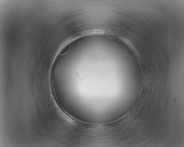 X0000062861475200601271517