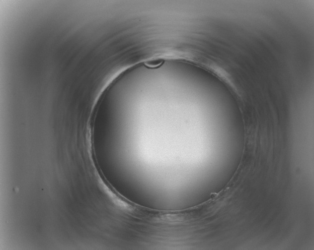 X0000062861476200601271517