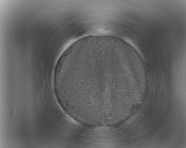 X0000062861477200601271517