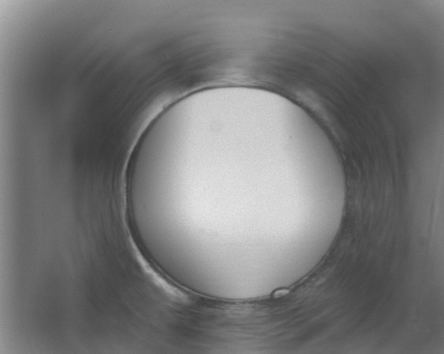 X0000062861479200601271517