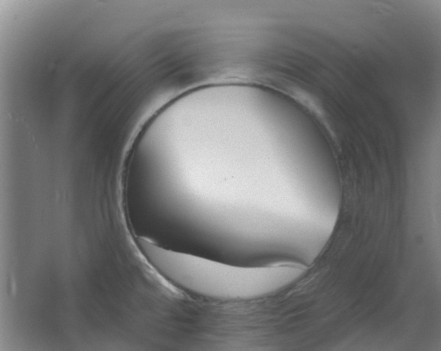 X0000062861480200601271517