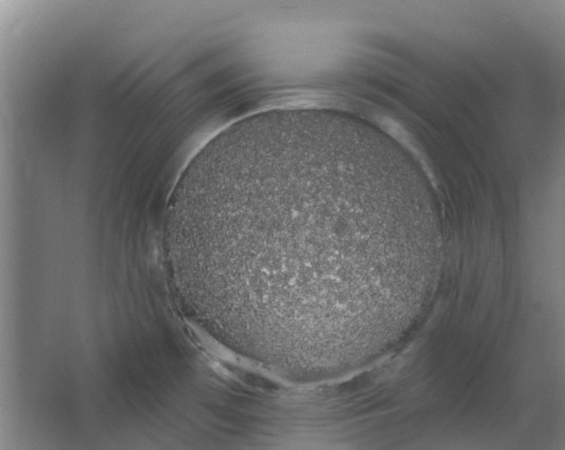 X0000062861481200601271517