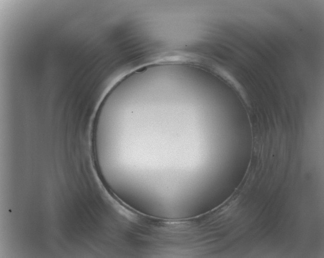 X0000062861483200601271517