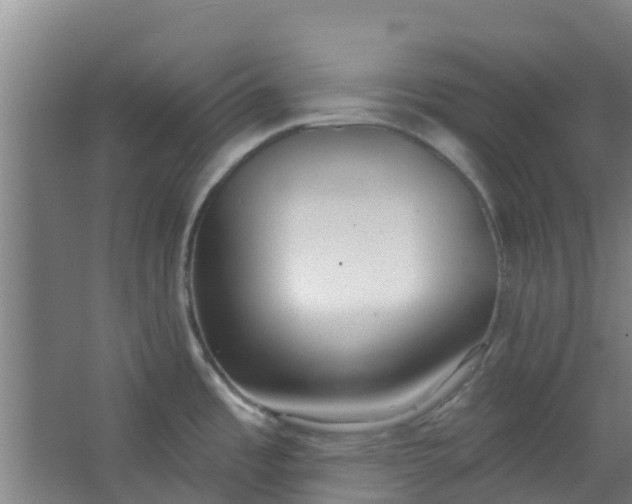 X0000062861485200601271517