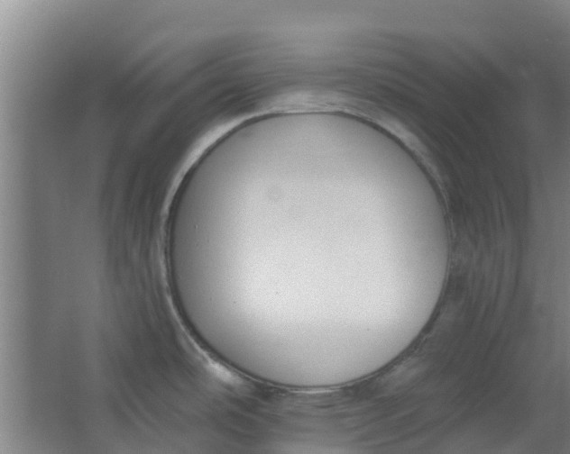 X0000062861486200601271517