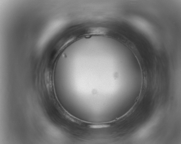 X0000062861487200601271517