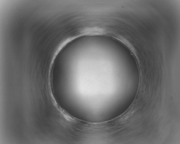 X0000062861488200601271517