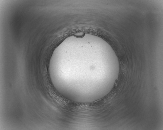 X0000062861489200601271516