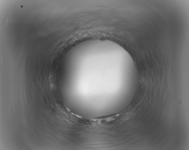 X0000062861490200601271516