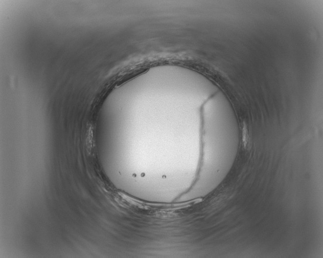 X0000062861492200601271516