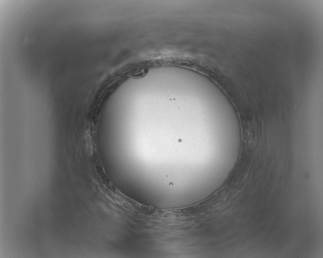 X0000062861493200601271516