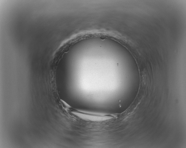 X0000062861494200601271516