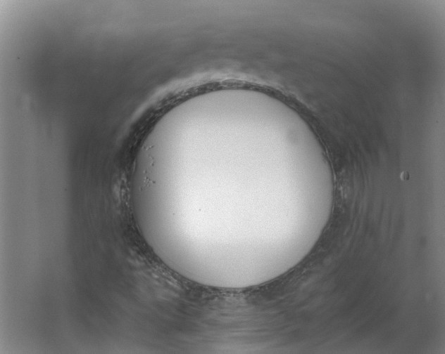 X0000062861495200601271516