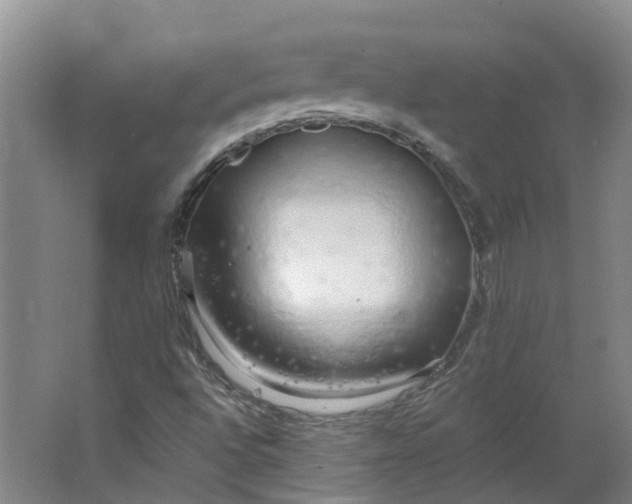 X0000062861496200601271516