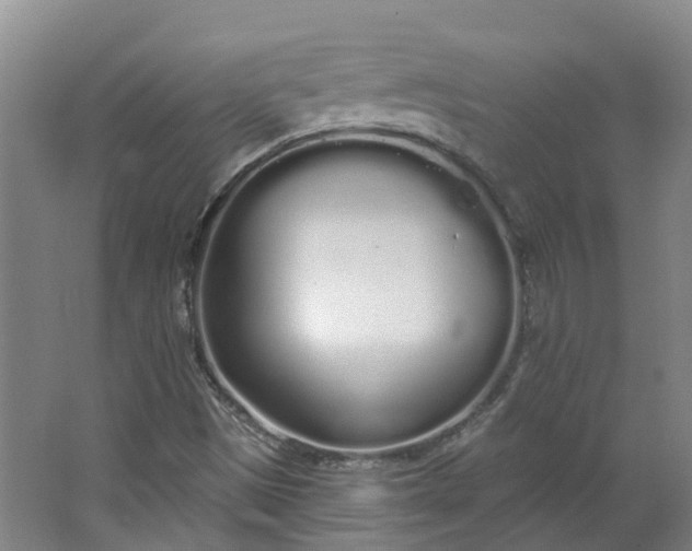 X0000062861497200601271516