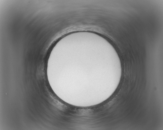 X0000062861498200601271516