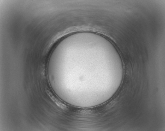 X0000062861499200601271516