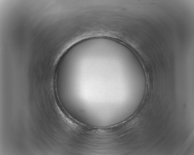 X0000062861500200601271516