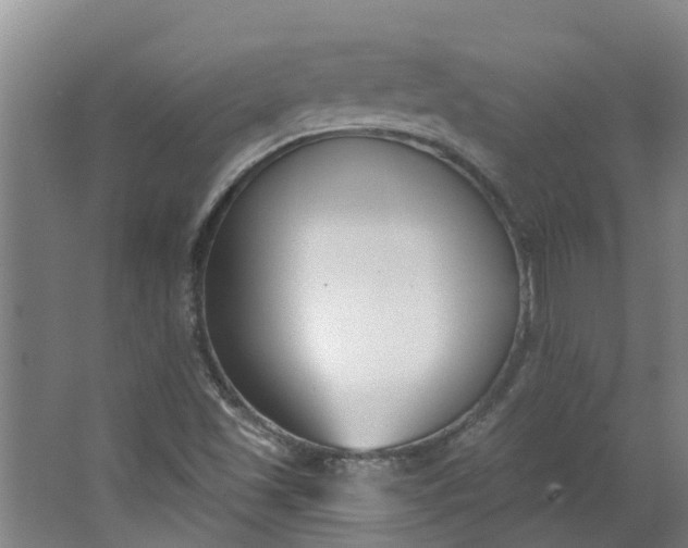 X0000062861501200601271516