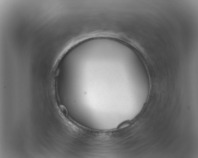 X0000062861504200601271516