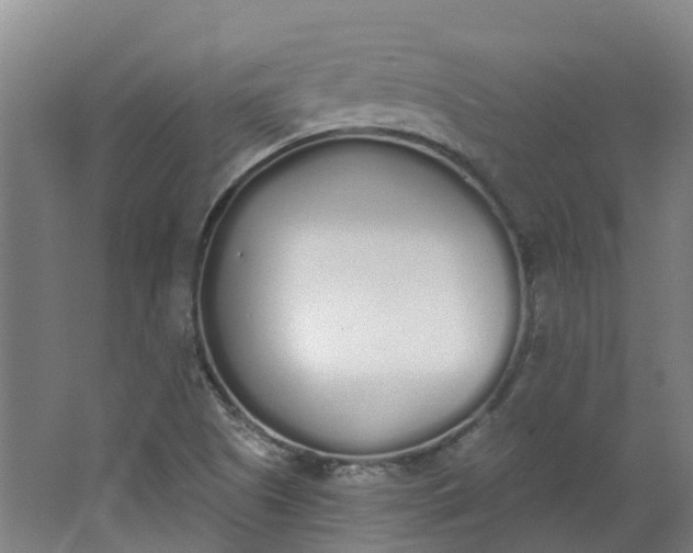 X0000062861505200601271516