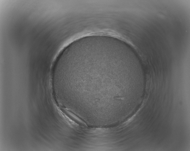 X0000062861506200601271516