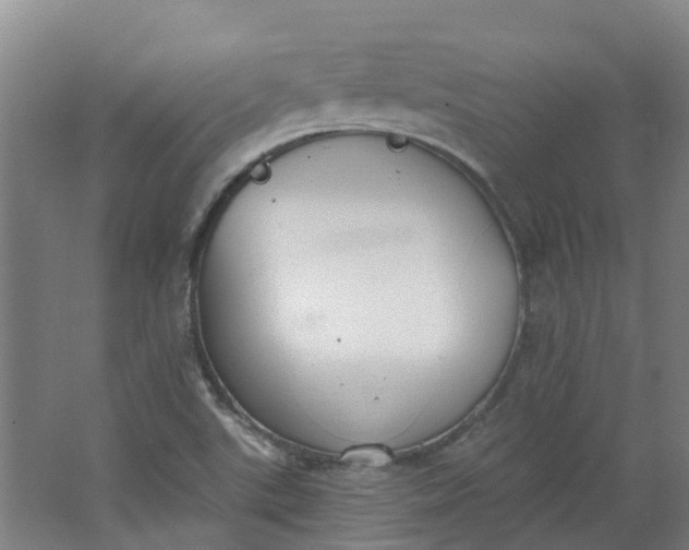 X0000062861507200601271516