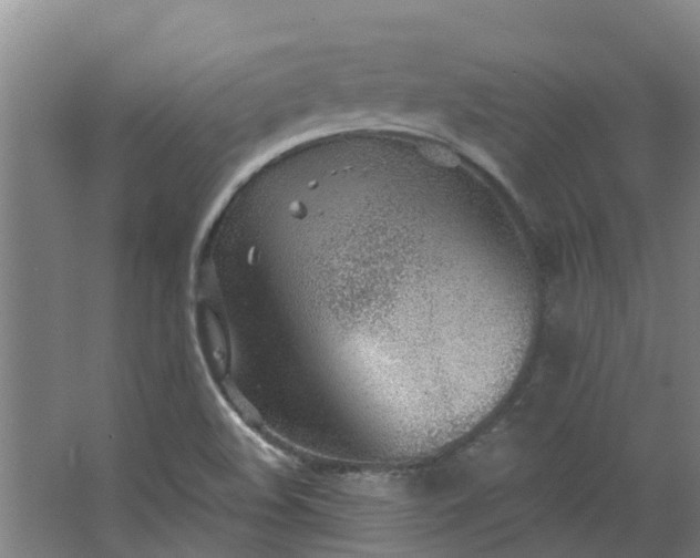 X0000062861508200601271516