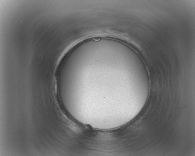 X0000062861509200601271516