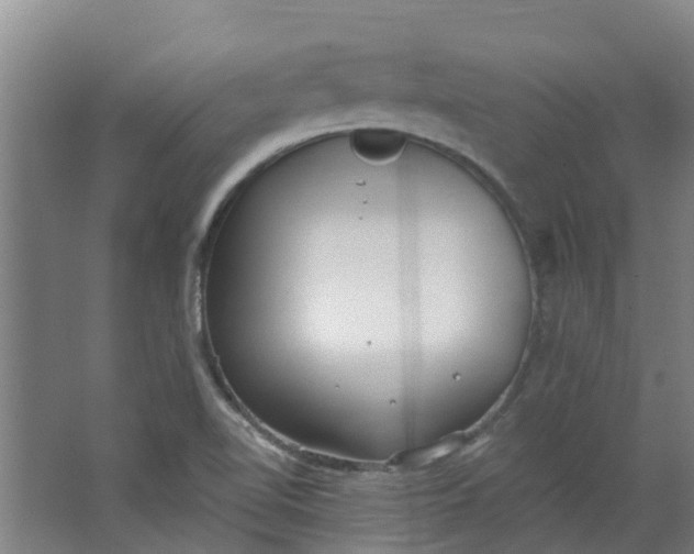 X0000062861510200601271516