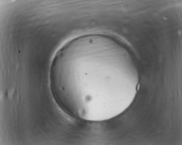 X0000062861512200601271516