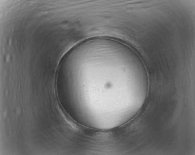 X0000062861513200601271516