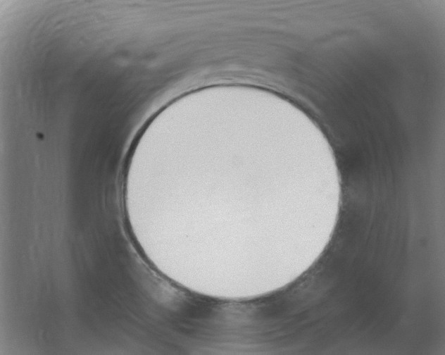 X0000062861514200601271517