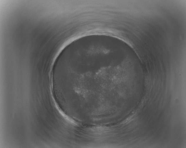 X0000062861515200601271517