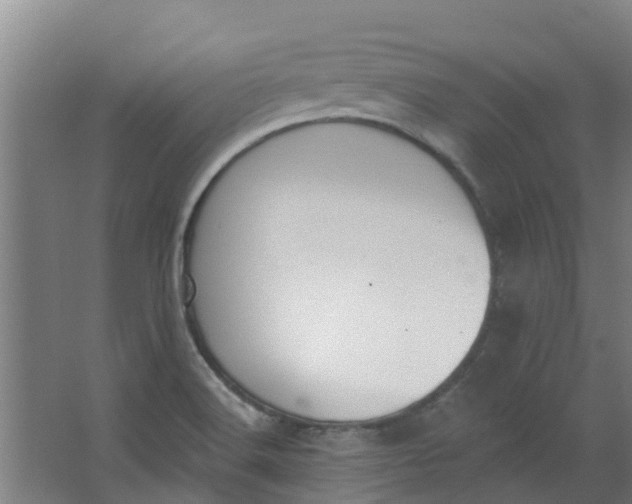 X0000062861516200601271517