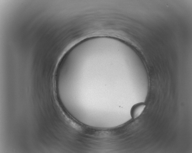 X0000062861517200601271517