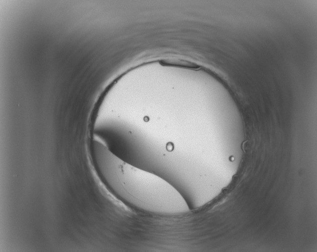 X0000062861518200601271517