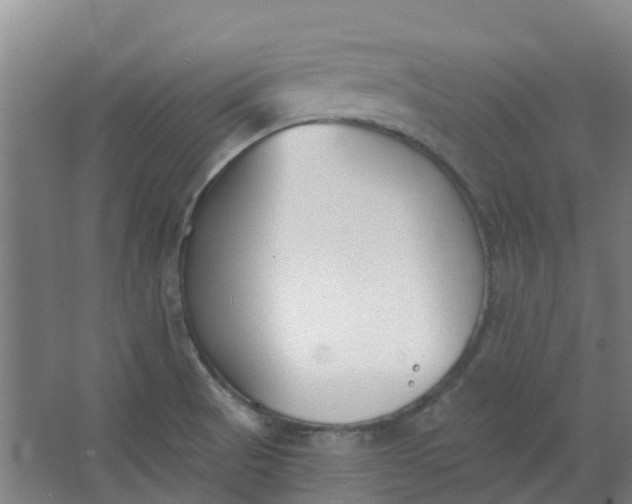 X0000062861521200601271517