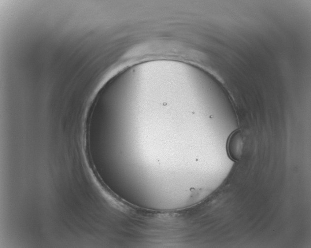 X0000062861523200601271517