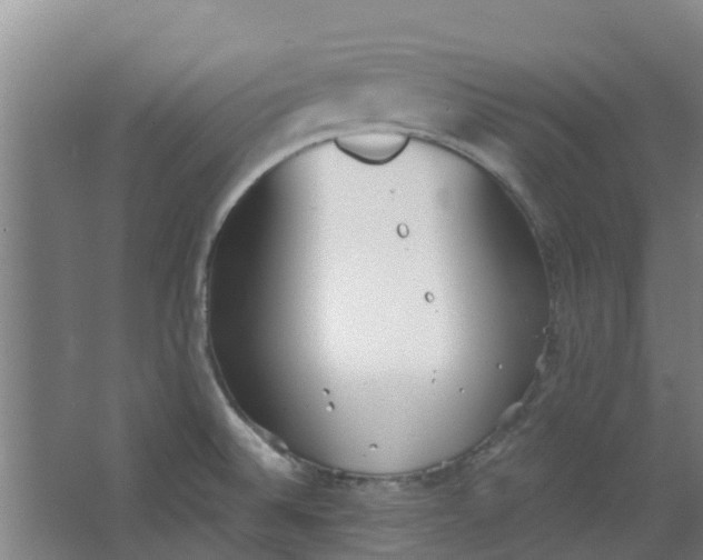 X0000062861524200601271517