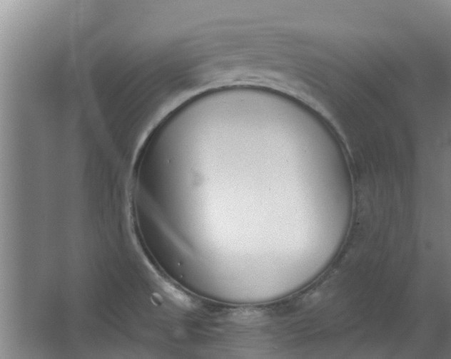 X0000062861525200601271517