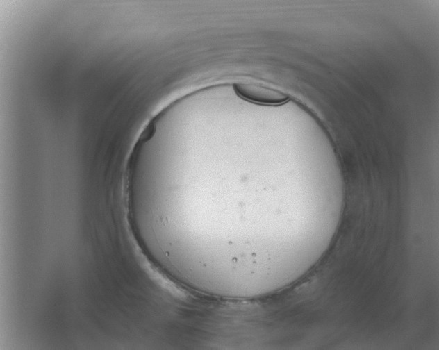 X0000062861526200601271517