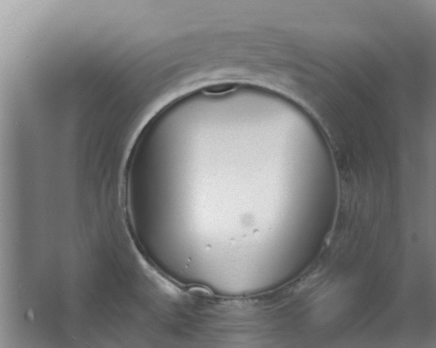 X0000062861527200601271517