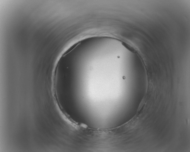 X0000062861528200601271517