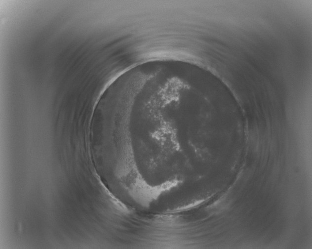 X0000062861529200601271517