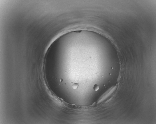 X0000062861530200601271517